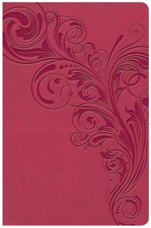 KJV LARGE PRINT PERSONAL EOV REFERENCE BIBLE PINK LS