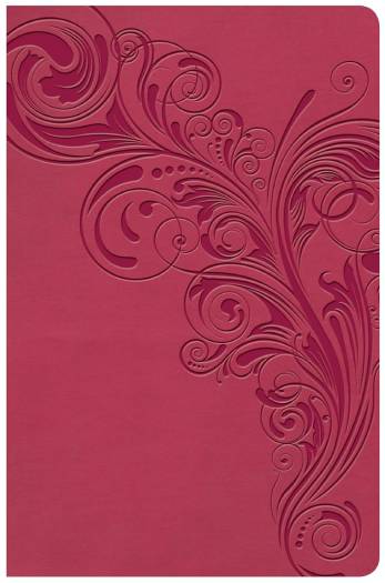 KJV LARGE PRINT PERSONAL EOV REFERENCE BIBLE PINK LS