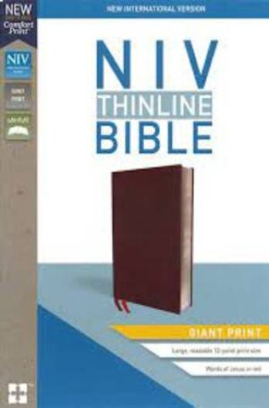 NIV THINLINE BIBLE GIANT PRINT BURGUNDY BL