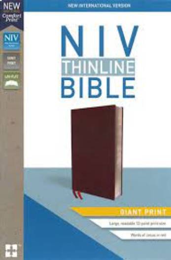 NIV THINLINE BIBLE GIANT PRINT BURGUNDY BL