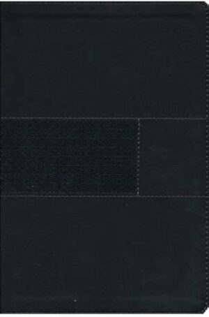 NIV - FAITH AND WORK BIBLE GRAY LS