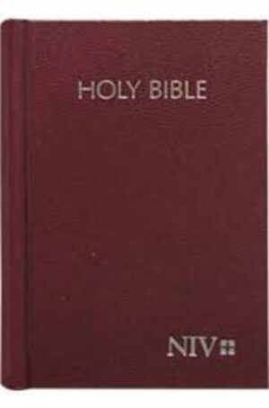NIV - HOLY BIBLE COMPACT [BROWN]