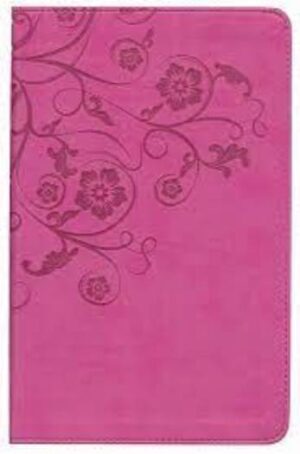 NIV - Women's Devotional Bible,Raspberry, (IL)
