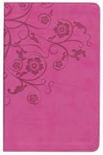 NIV - Women's Devotional Bible,Raspberry, (IL)