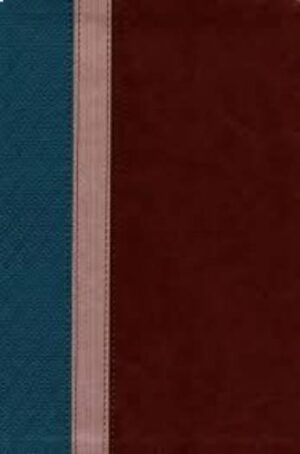 NLT BEYOND SUFFERING BIBLE TEAL/BROWN/ROSE LS