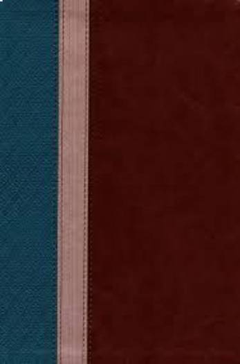 NLT BEYOND SUFFERING BIBLE TEAL/BROWN/ROSE LS