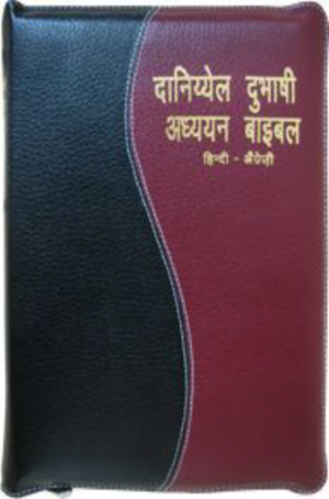 DANIEL BILINGUAL REFERENCE BIBLE [HINDI - ENGLISH]
